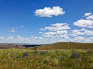 Wide open spaces along Oregon's Highway 206