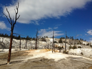 The barren landscape on the Lower Terrace Drive in Yellowstone