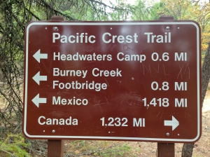 Pacific Coast Trail sign near Burney Creek