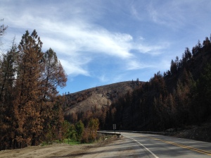 Ravages of the Carlton Complex fire along highway 153 along the Methow River